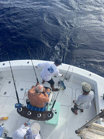 San Miguel De Cozumel Report Photo 3