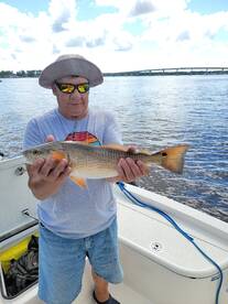 Mount Pleasant Report Photo 2