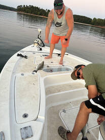 Townville Report Photo 2