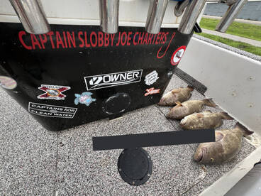 Tampa Report Photo 2