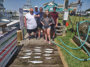 Catch Up Report  Aug. 13 thru Aug. 29