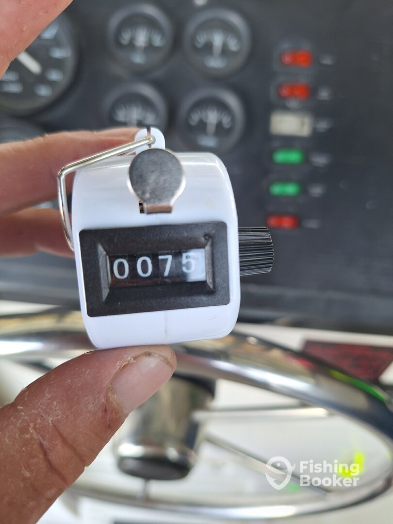 Little Elm Report Photo 0