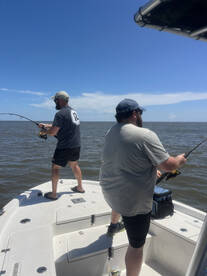 Hilton Head Island Report Photo 1