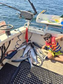 great action on Puget sound