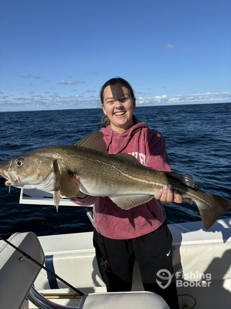 Scituate Report Photo 0