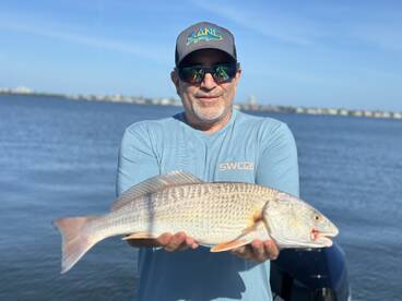 Sarasota Report Photo 1