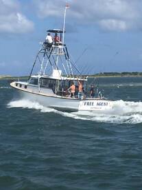 UPCOMING OPENINGS Sept.8 thru Sept.15