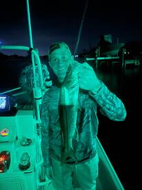 Non-stop Action All Night Long