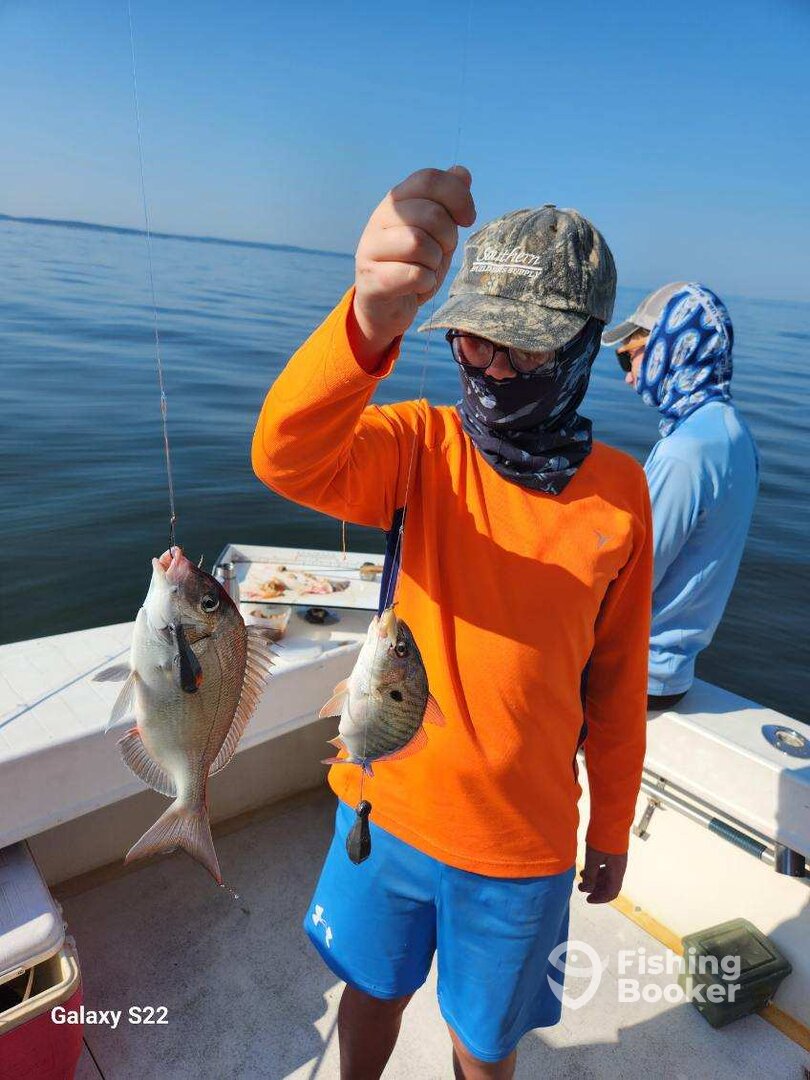 Stamford Report Photo 0