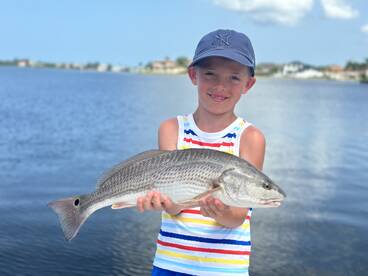 Sarasota Report Photo 2