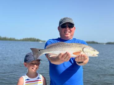 Sarasota Report Photo 1