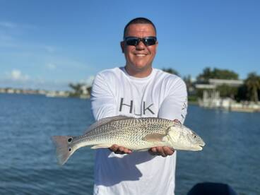 Sarasota Report Photo 1