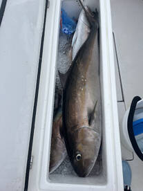 Wanchese Report Photo 1