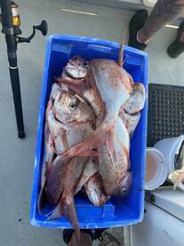 EPIC MONTH OF FISHING