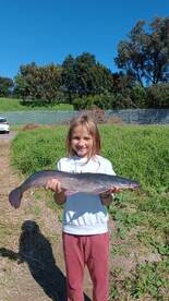 Gray Shane and Hanz and Ozz fishing trip