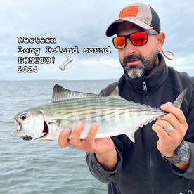 Hard Tails are Here!