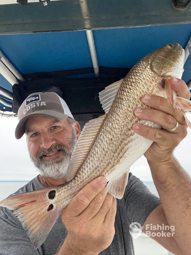 Fairhope Report Photo 0