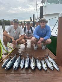 Dania Beach Report Photo 1