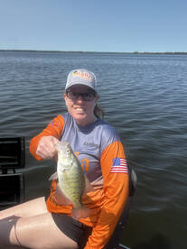 Rend lake crappie!!!!!