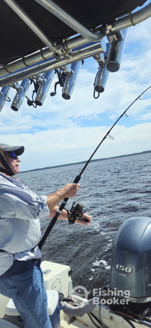 Georgetown Report Photo 0