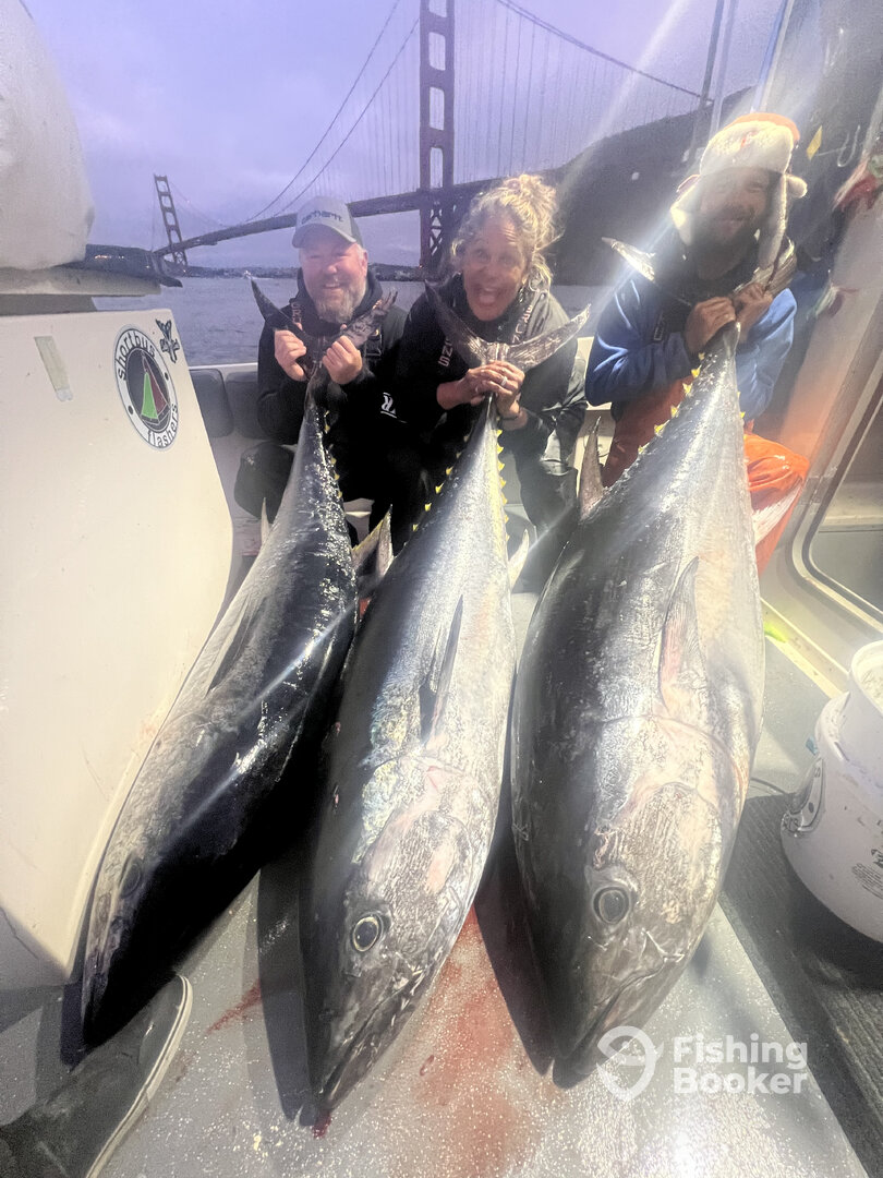 Berkeley Report Photo 0