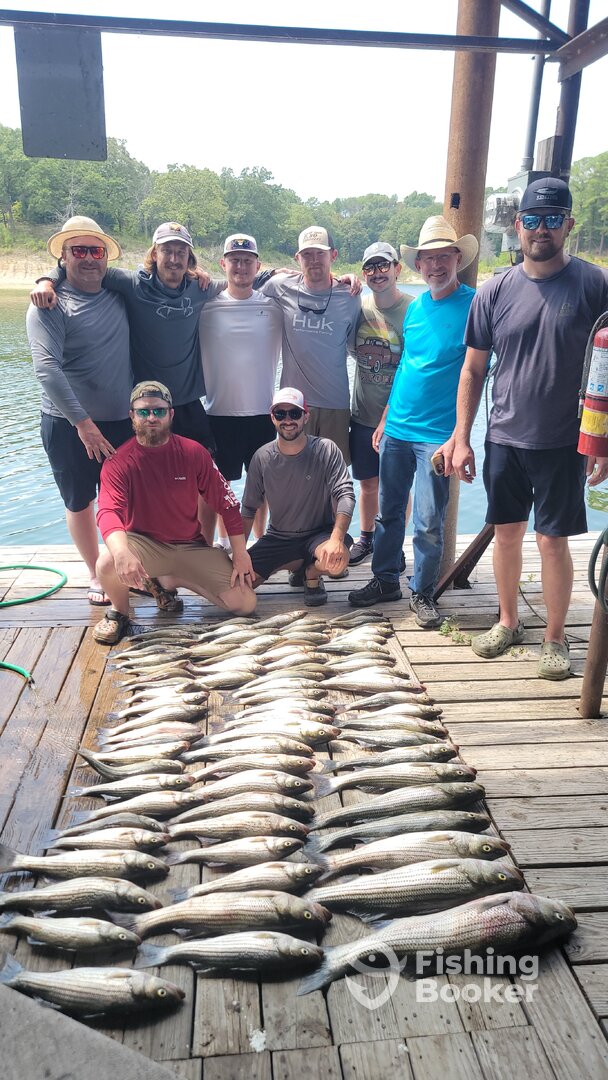 Pottsboro Report Photo 0