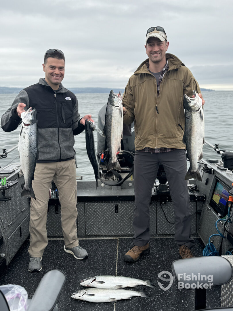 Everett Report Photo 0
