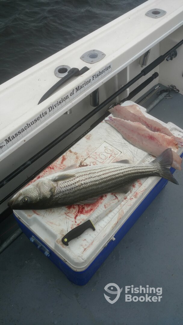 Newburyport Report Photo 0