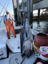 Provincetown Report Photo 2