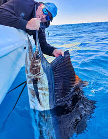 Tavernier Report Photo 1