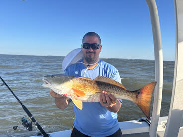 Bull Reds are here!