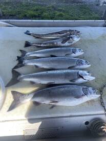 Non stop action  all morning 