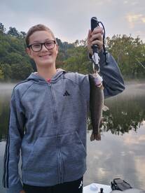 Branson Report Photo 1