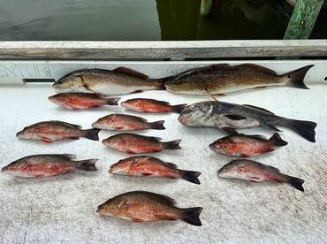 Epic inshore trip  