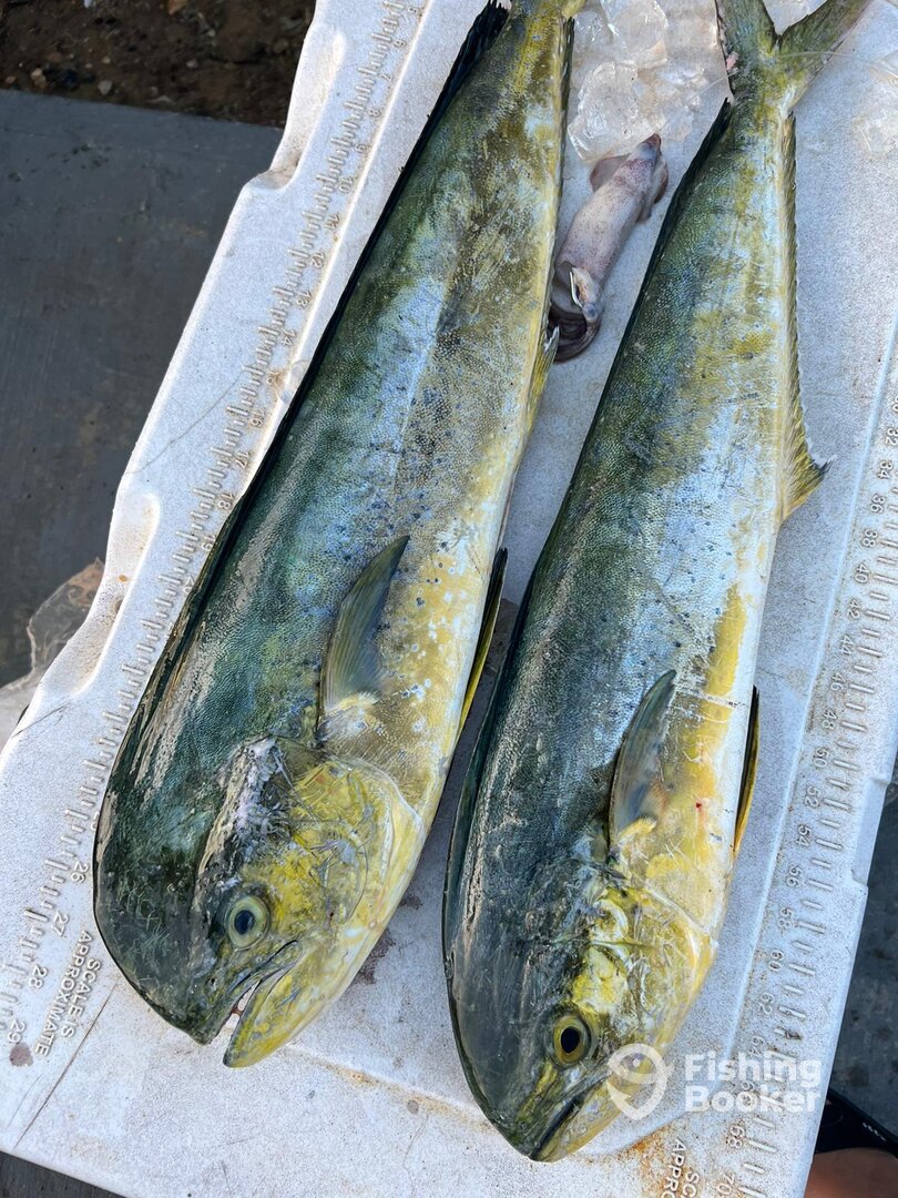 San Juan Report Photo 0