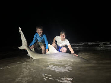 Corpus Christi Report Photo 1