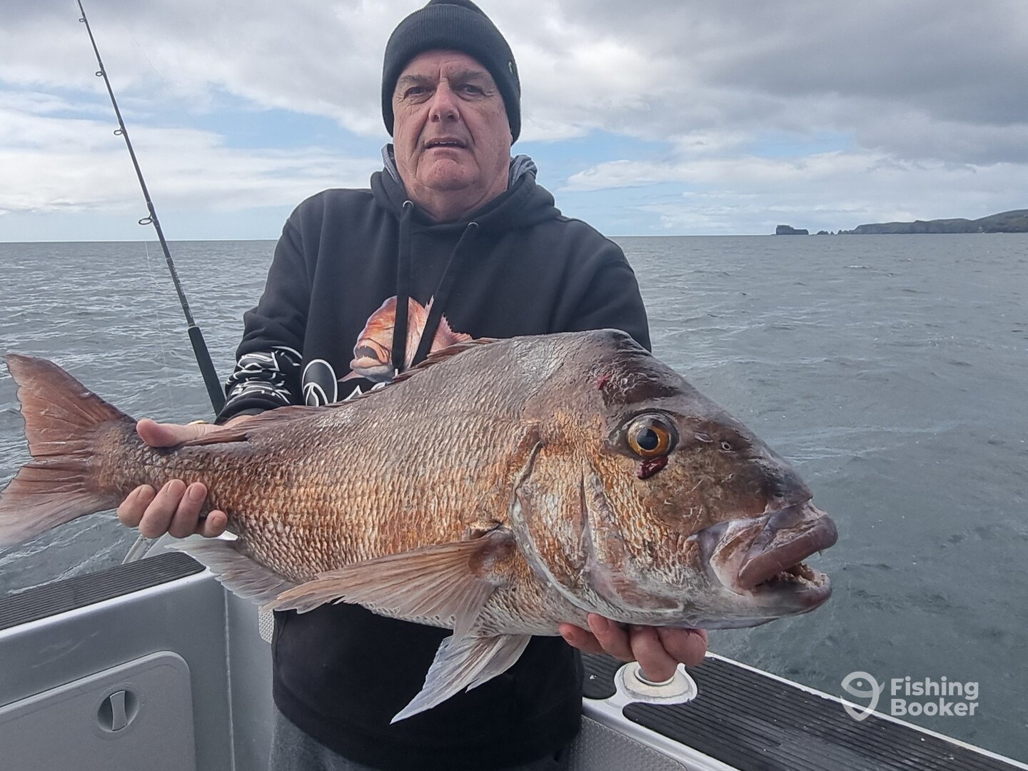 Paihia Report Photo 0