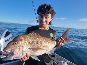 Paihia Report Photo 1