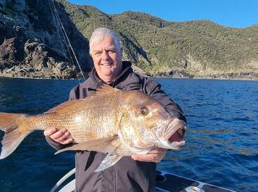 Paihia Report Photo 2