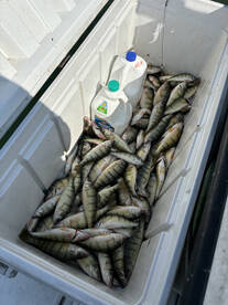 Oak Harbor Report Photo 1