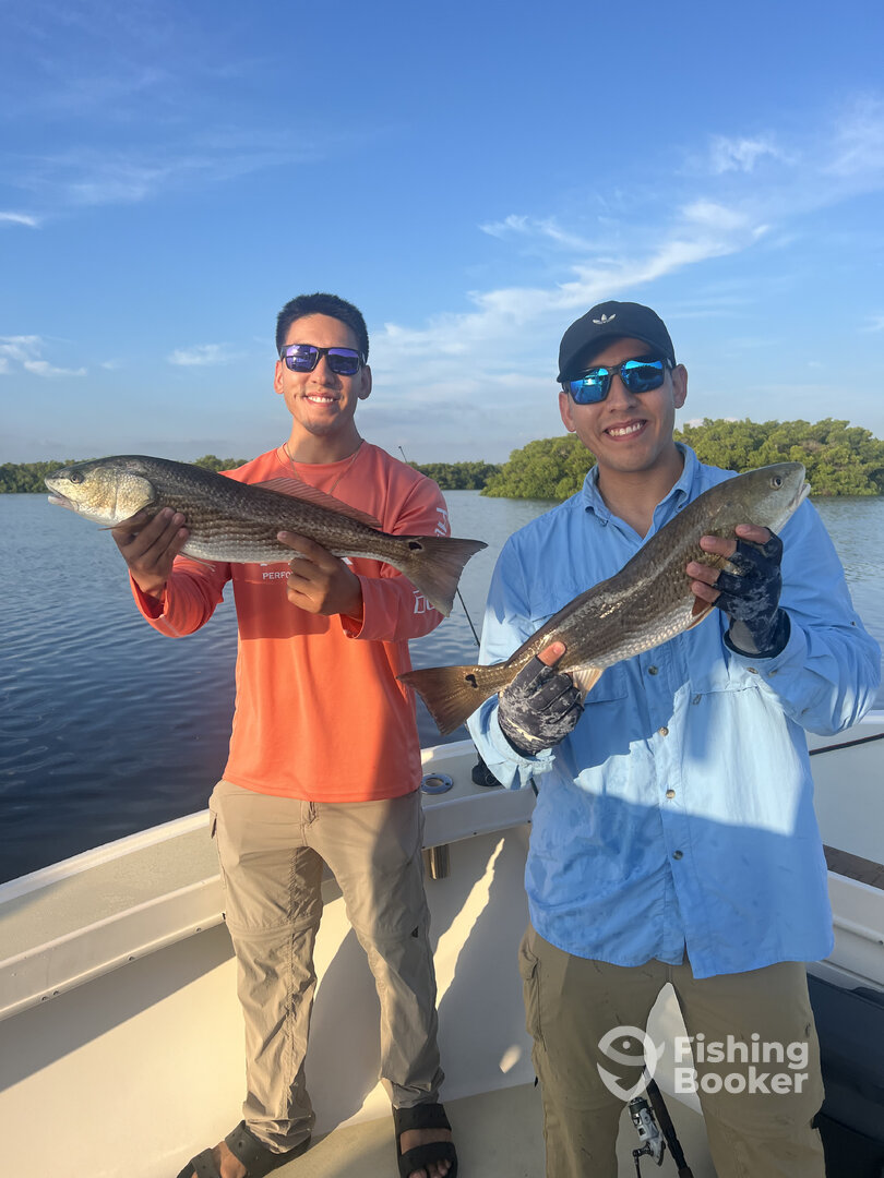 St. Petersburg Report Photo 0