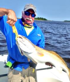 Georgetown Report Photo 2