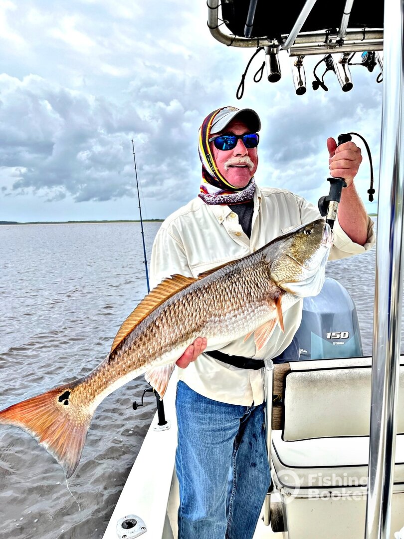 Georgetown Report Photo 0