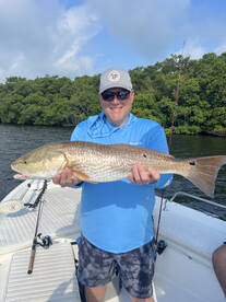 Tarpon Springs Report Photo 2