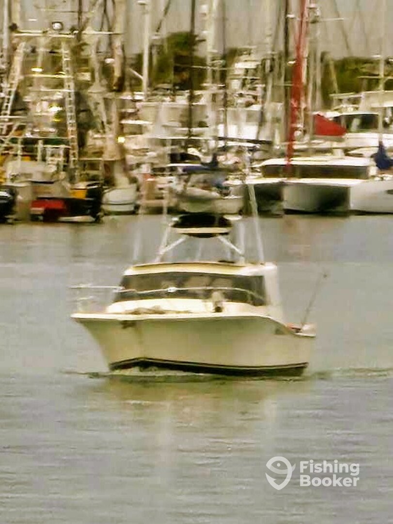 Port Canaveral Report Photo 0