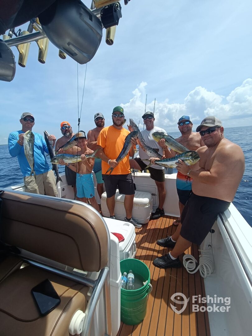 Playa Del Carmen Report Photo 0