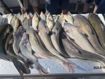 Rock Hall Report Photo 2