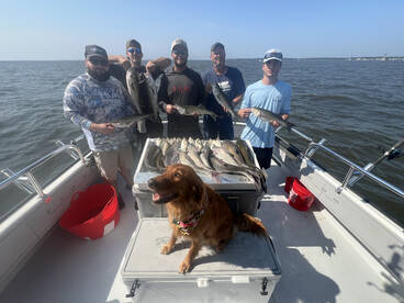 Rock Hall Report Photo 1