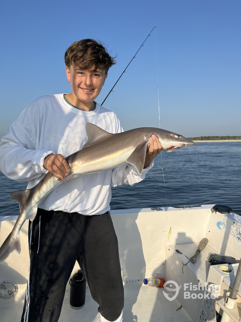 Highlands Report Photo 0