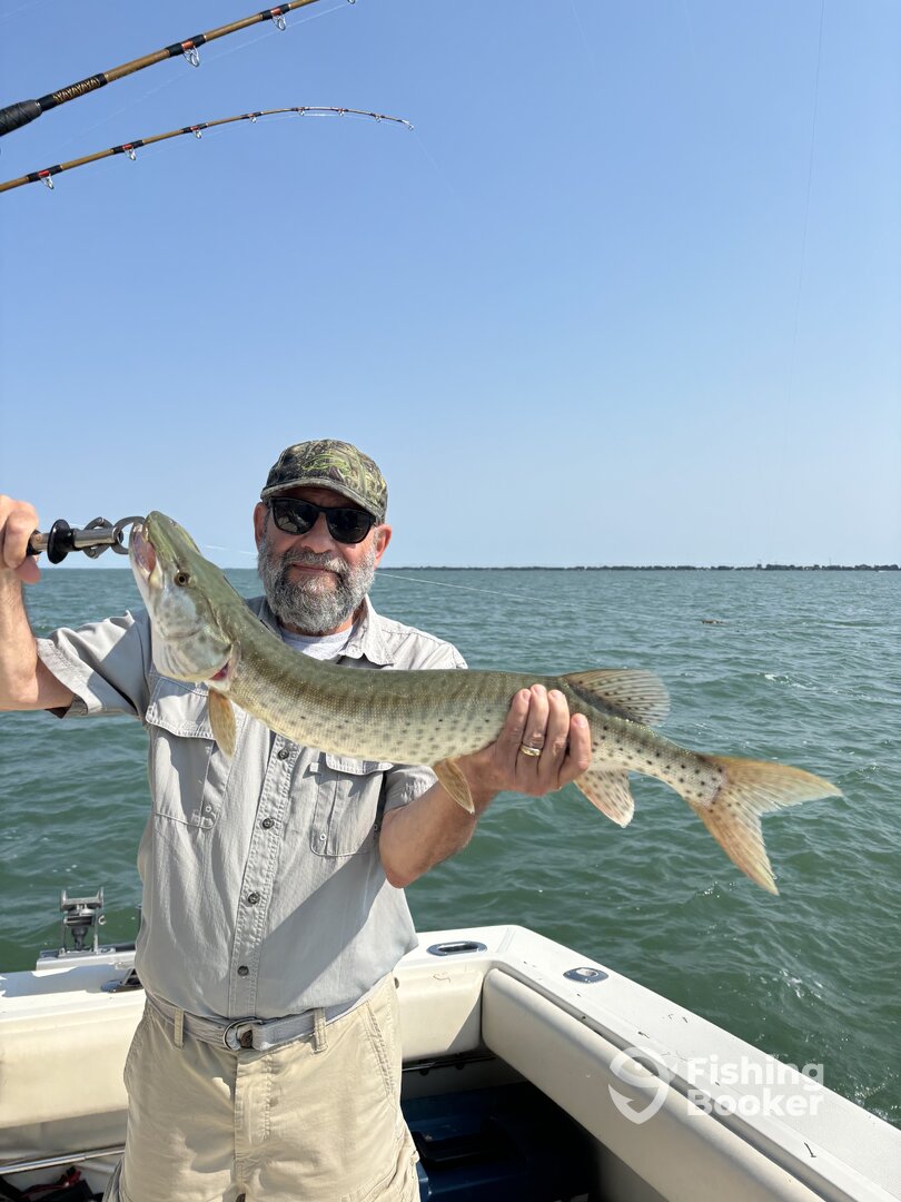 St. Clair Shores Report Photo 0